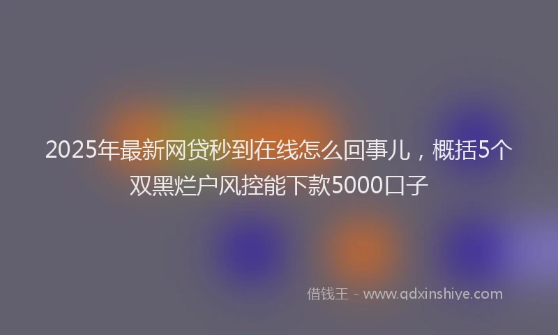 2025年最新网贷秒到在线怎么回事儿，概括5个双黑烂户风控能下款5000口子