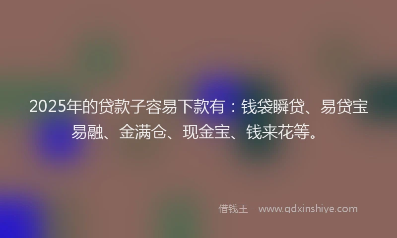 2025年的贷款子容易下款有：钱袋瞬贷、易贷宝易融、金满仓、现金宝、钱来花等。