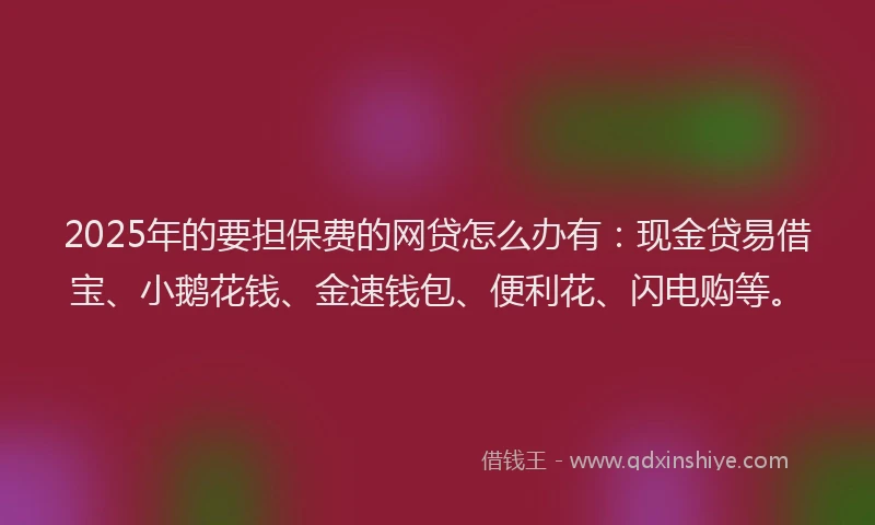 2025年的要担保费的网贷怎么办有：现金贷易借宝、小鹅花钱、金速钱包、便利花、闪电购等。