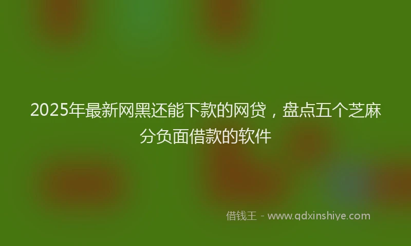 2025年最新网黑还能下款的网贷，盘点五个芝麻分负面借款的软件