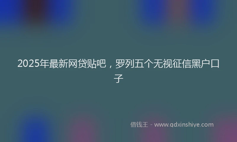 2025年最新网贷贴吧，罗列五个无视征信黑户口子