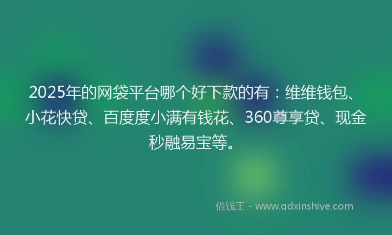 2025年的网袋平台哪个好下款的有：维维钱包、小花快贷、百度度小满有钱花、360尊享贷、现金秒融易宝等。