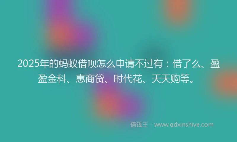 2025年的蚂蚁借呗怎么申请不过有：借了么、盈盈金科、惠商贷、时代花、天天购等。