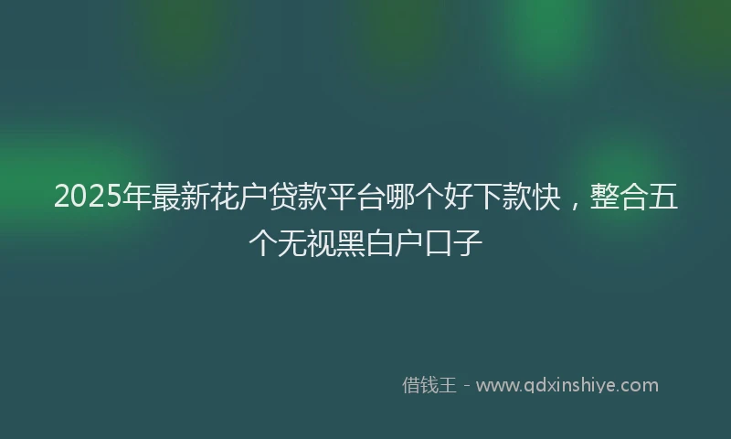 2025年最新花户贷款平台哪个好下款快,整合五个无视黑白户口子