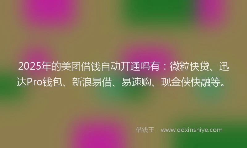 2025年的美团借钱自动开通吗有：微粒快贷、迅达Pro钱包、新浪易借、易速购、现金侠快融等。