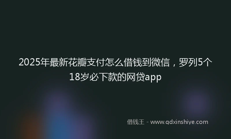 2025年最新花瓣支付怎么借钱到微信，罗列5个18岁必下款的网贷app