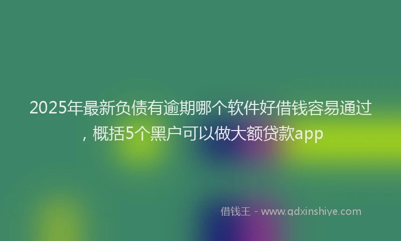 2025年最新负债有逾期哪个软件好借钱容易通过，概括5个黑户可以做大额贷款app