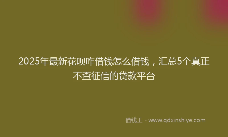 2025年最新花呗咋借钱怎么借钱，汇总5个真正不查征信的贷款平台