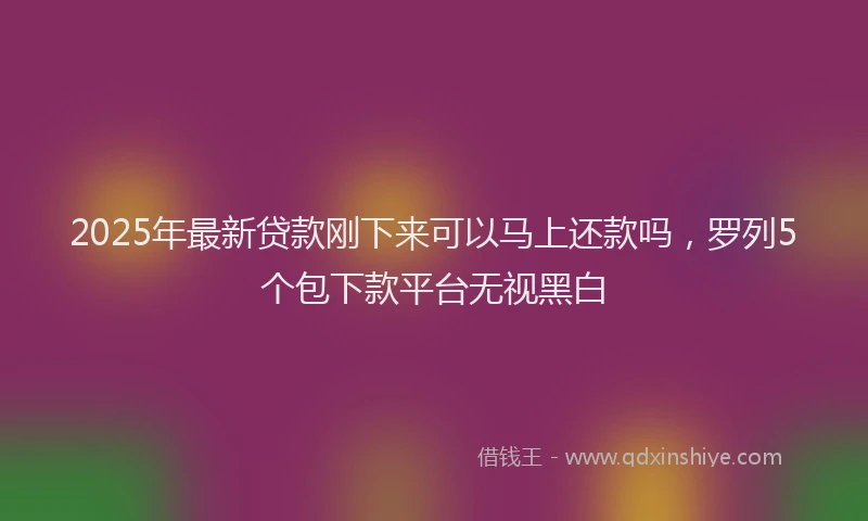2025年最新贷款刚下来可以马上还款吗，罗列5个包下款平台无视黑白