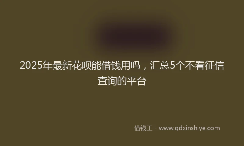 2025年最新花呗能借钱用吗，汇总5个不看征信查询的平台