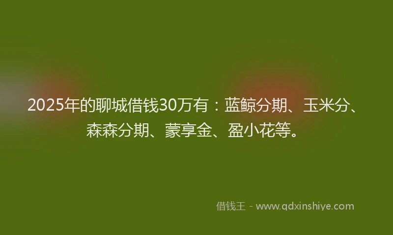 2025年的聊城借钱30万有：蓝鲸分期、玉米分、森森分期、蒙享金、盈小花等。