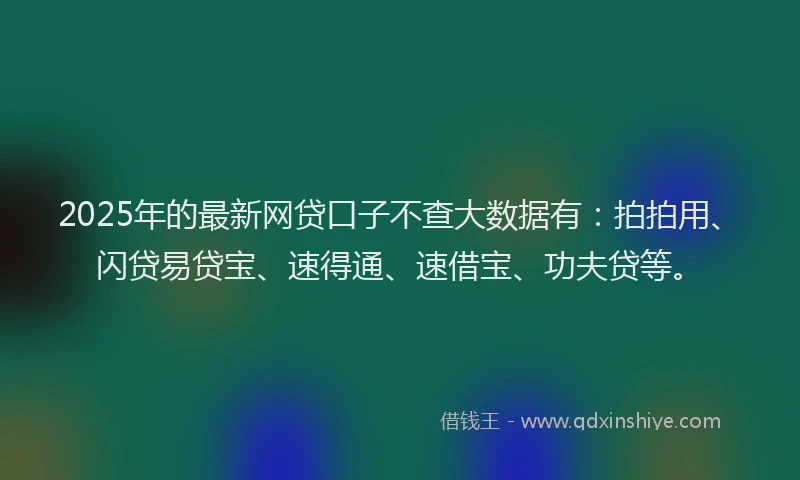 2025年的最新网贷口子不查大数据有：拍拍用、闪贷易贷宝、速得通、速借宝、功夫贷等。