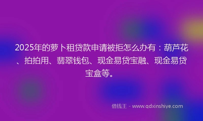 2025年的萝卜租贷款申请被拒怎么办有：葫芦花、拍拍用、翡翠钱包、现金易贷宝融、现金易贷宝盒等。