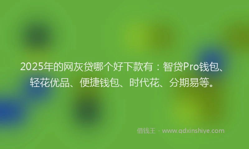 2025年的网灰贷哪个好下款有：智贷Pro钱包、轻花优品、便捷钱包、时代花、分期易等。