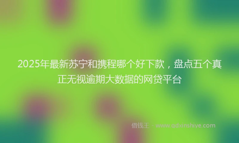 2025年最新苏宁和携程哪个好下款，盘点五个真正无视逾期大数据的网贷平台