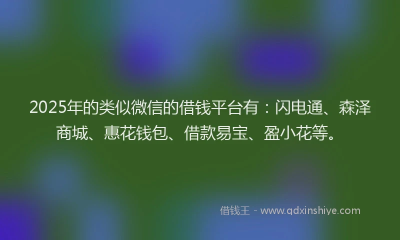 2025年的类似微信的借钱平台有：闪电通、森泽商城、惠花钱包、借款易宝、盈小花等。