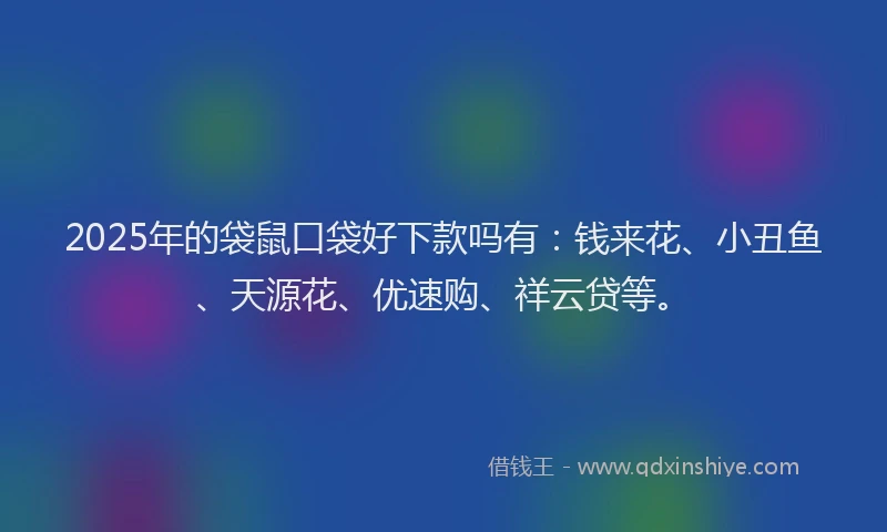 2025年的袋鼠口袋好下款吗有：钱来花、小丑鱼、天源花、优速购、祥云贷等。