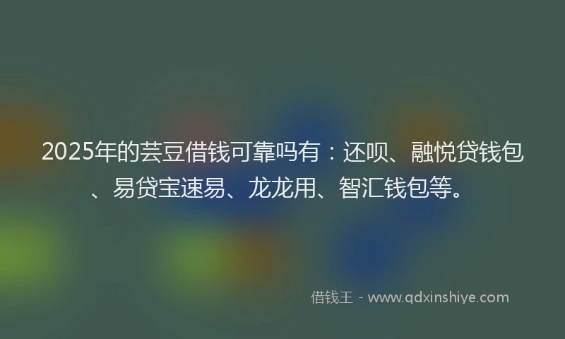 2025年的芸豆借钱可靠吗有：还呗、融悦贷钱包、易贷宝速易、龙龙用、智汇钱包等。