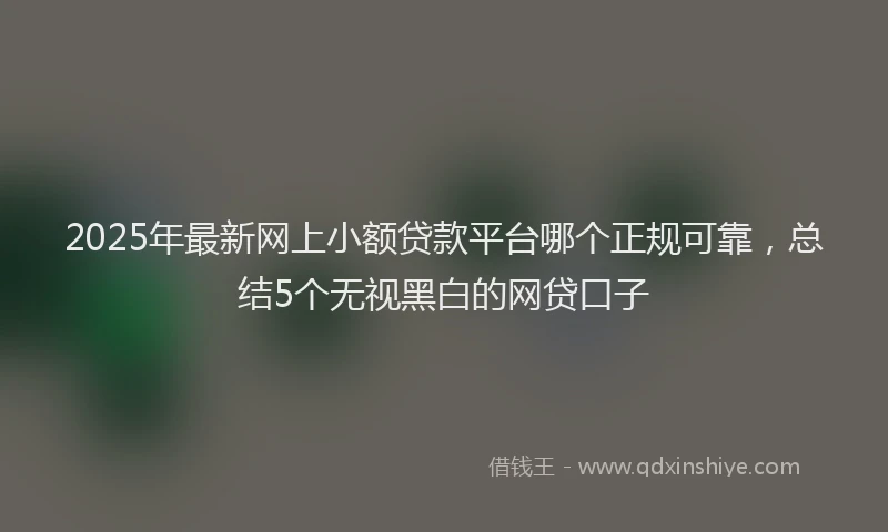 2025年最新网上小额贷款平台哪个正规可靠，总结5个无视黑白的网贷口子