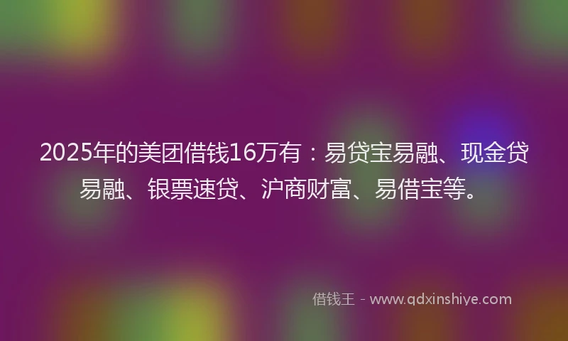 2025年的美团借钱16万有：易贷宝易融、现金贷易融、银票速贷、沪商财富、易借宝等。