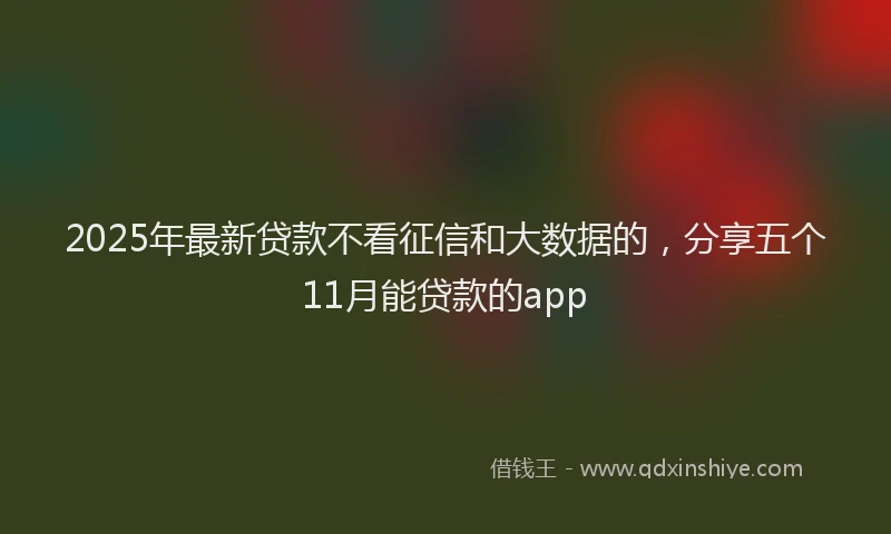 2025年最新贷款不看征信和大数据的，分享五个11月能贷款的app