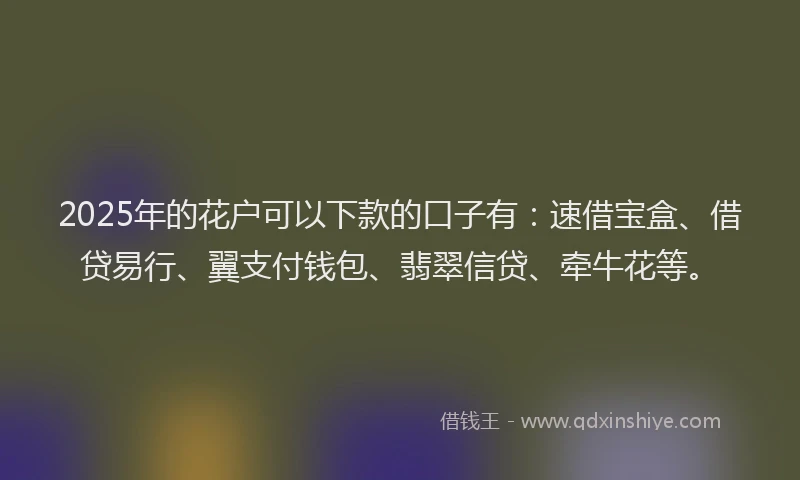 2025年的花户可以下款的口子有：速借宝盒、借贷易行、翼支付钱包、翡翠信贷、牵牛花等。
