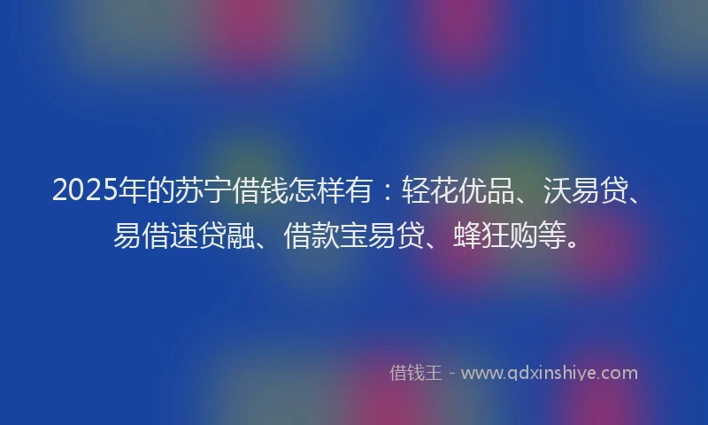2025年的苏宁借钱怎样有：轻花优品、沃易贷、易借速贷融、借款宝易贷、蜂狂购等。