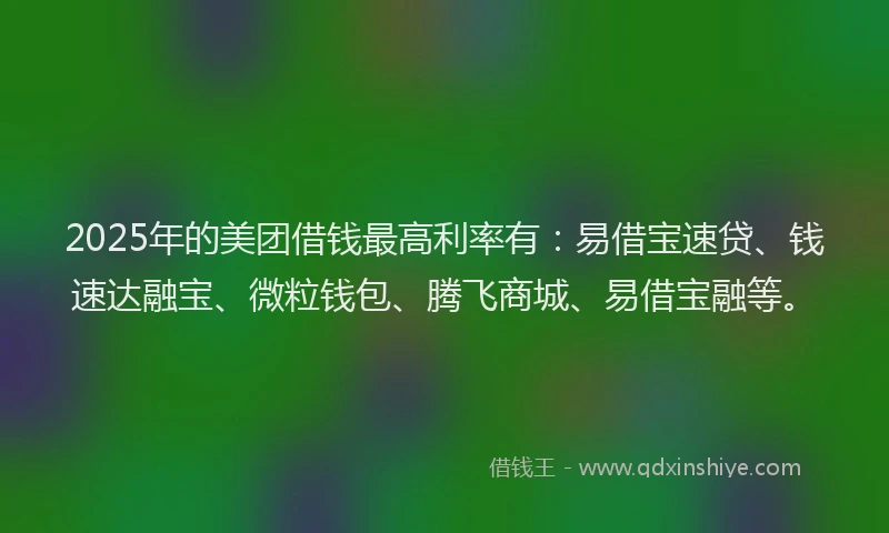 2025年的美团借钱最高利率有：易借宝速贷、钱速达融宝、微粒钱包、腾飞商城、易借宝融等。