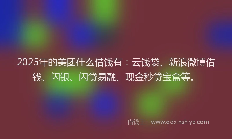 2025年的美团什么借钱有：云钱袋、新浪微博借钱、闪银、闪贷易融、现金秒贷宝盒等。