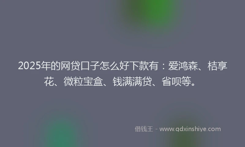 2025年的网贷口子怎么好下款有：爱鸿森、桔享花、微粒宝盒、钱满满贷、省呗等。
