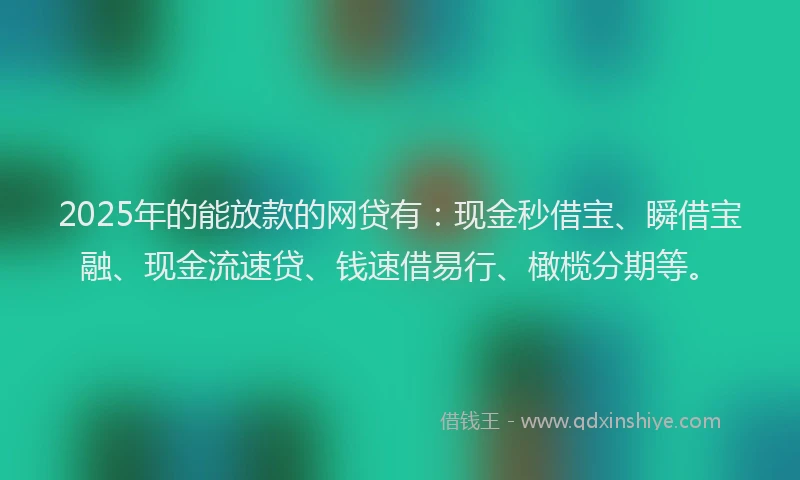 2025年的能放款的网贷有：现金秒借宝、瞬借宝融、现金流速贷、钱速借易行、橄榄分期等。