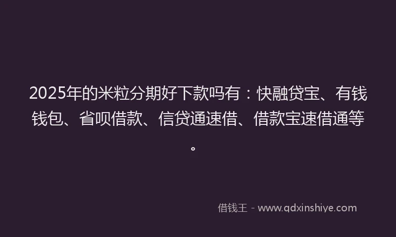 2025年的米粒分期好下款吗有：快融贷宝、有钱钱包、省呗借款、信贷通速借、借款宝速借通等。