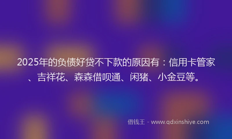 2025年的负债好贷不下款的原因有：信用卡管家、吉祥花、森森借呗通、闲猪、小金豆等。