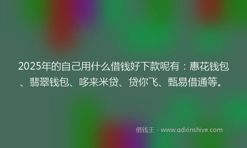2025年的自己用什么借钱好下款呢有：惠花钱包、翡翠钱包、哆来米贷、贷你飞、甄易借通等。