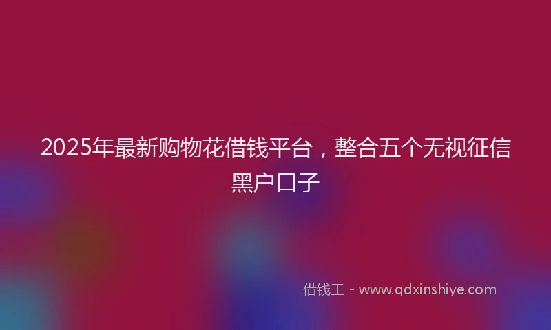 2025年最新购物花借钱平台，整合五个无视征信黑户口子