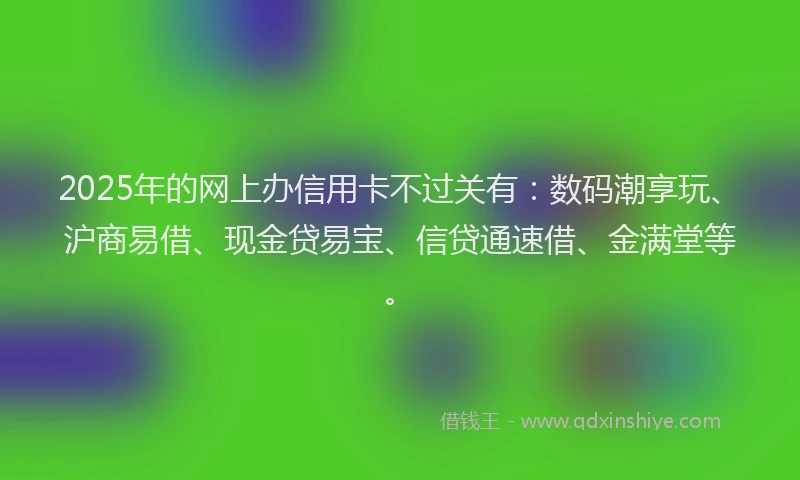 2025年的网上办信用卡不过关有：数码潮享玩、沪商易借、现金贷易宝、信贷通速借、金满堂等。