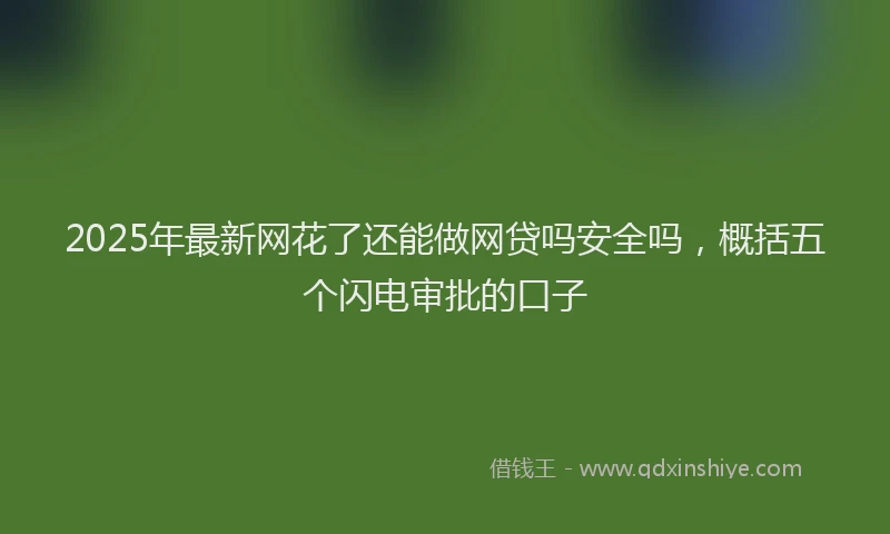 2025年最新网花了还能做网贷吗安全吗，概括五个闪电审批的口子