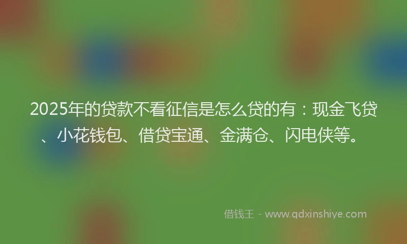 2025年的贷款不看征信是怎么贷的有：现金飞贷、小花钱包、借贷宝通、金满仓、闪电侠等。