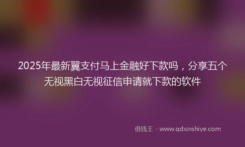 2025年最新翼支付马上金融好下款吗，分享五个无视黑白无视征信申请就下款的软件