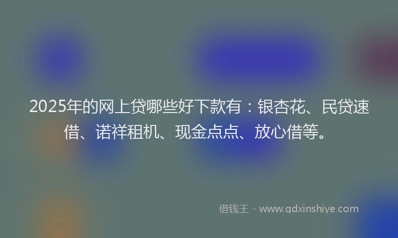 2025年的网上贷哪些好下款有：银杏花、民贷速借、诺祥租机、现金点点、放心借等。