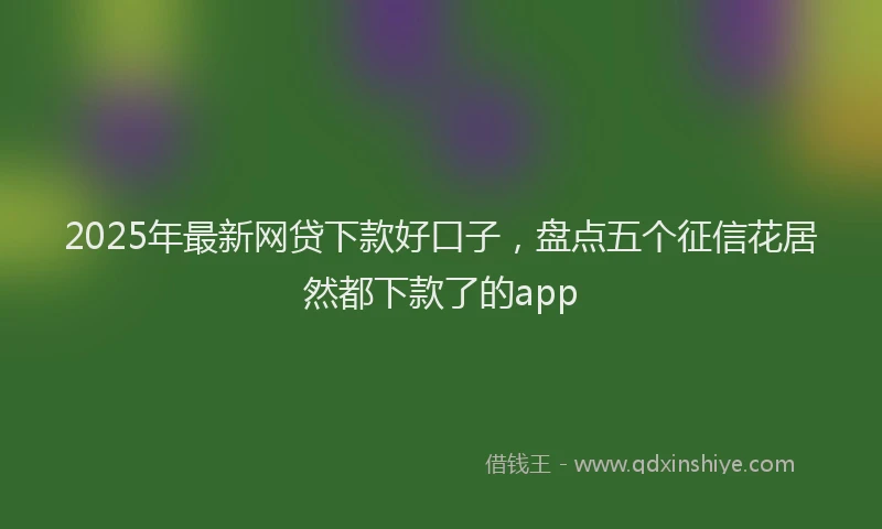 2025年最新网贷下款好口子，盘点五个征信花居然都下款了的app