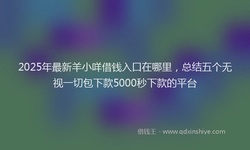 2025年最新羊小咩借钱入口在哪里，总结五个无视一切包下款5000秒下款的平台