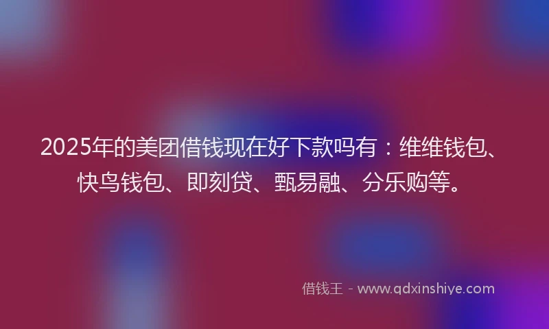 2025年的美团借钱现在好下款吗有：维维钱包、快鸟钱包、即刻贷、甄易融、分乐购等。