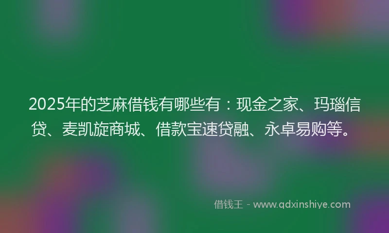2025年的芝麻借钱有哪些有：现金之家、玛瑙信贷、麦凯旋商城、借款宝速贷融、永卓易购等。