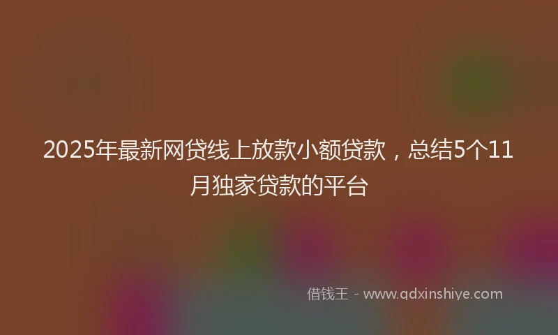 2025年最新网贷线上放款小额贷款，总结5个11月独家贷款的平台