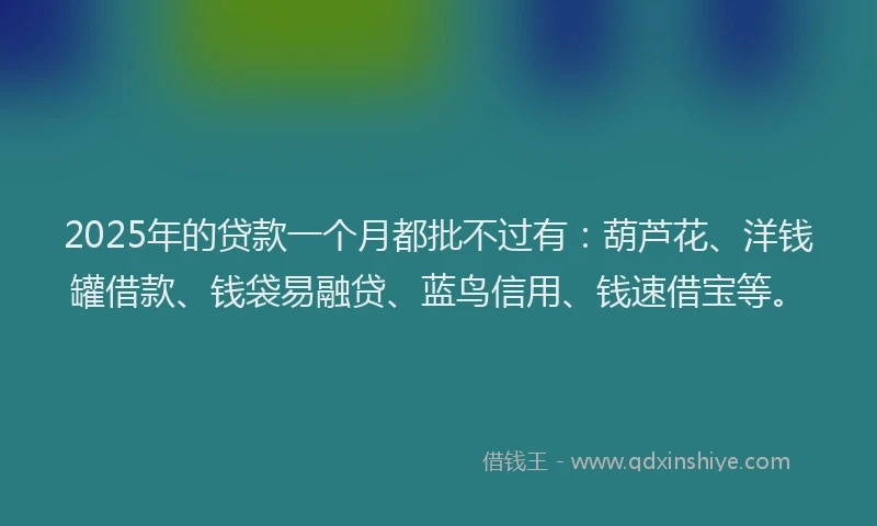 2025年的贷款一个月都批不过有:葫芦花、洋钱罐借款、钱袋易融贷、蓝鸟信用、钱速借宝等。