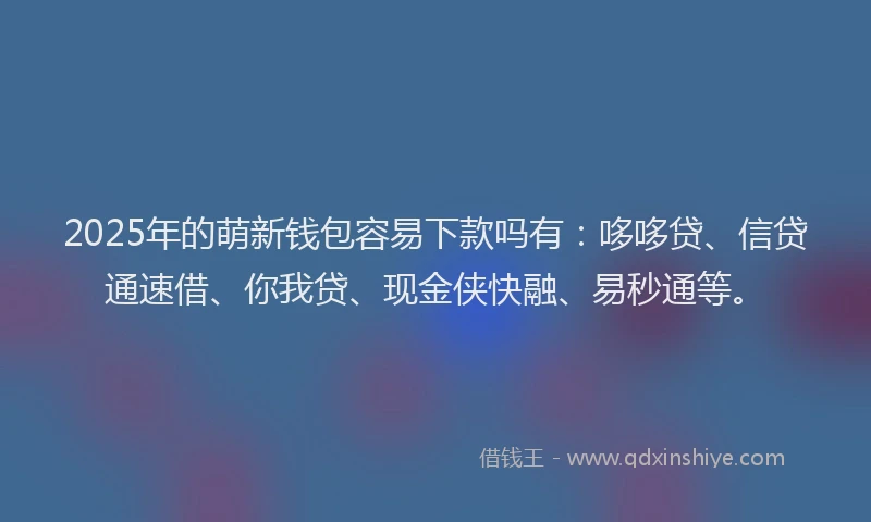 2025年的萌新钱包容易下款吗有：哆哆贷、信贷通速借、你我贷、现金侠快融、易秒通等。
