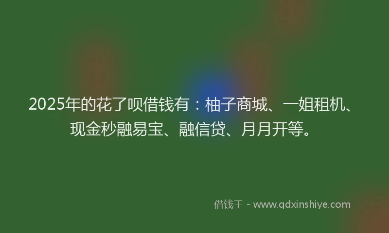 2025年的花了呗借钱有：柚子商城、一姐租机、现金秒融易宝、融信贷、月月开等。