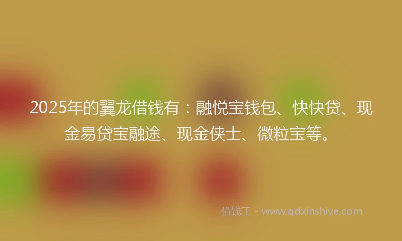2025年的翼龙借钱有：融悦宝钱包、快快贷、现金易贷宝融途、现金侠士、微粒宝等。