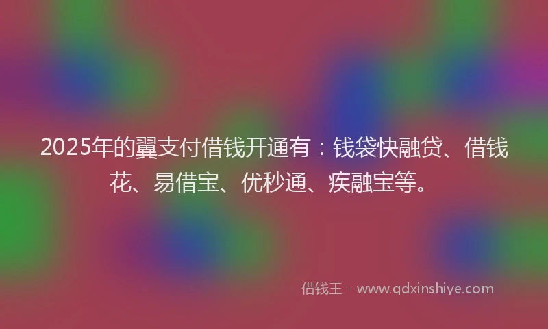 2025年的翼支付借钱开通有：钱袋快融贷、借钱花、易借宝、优秒通、疾融宝等。